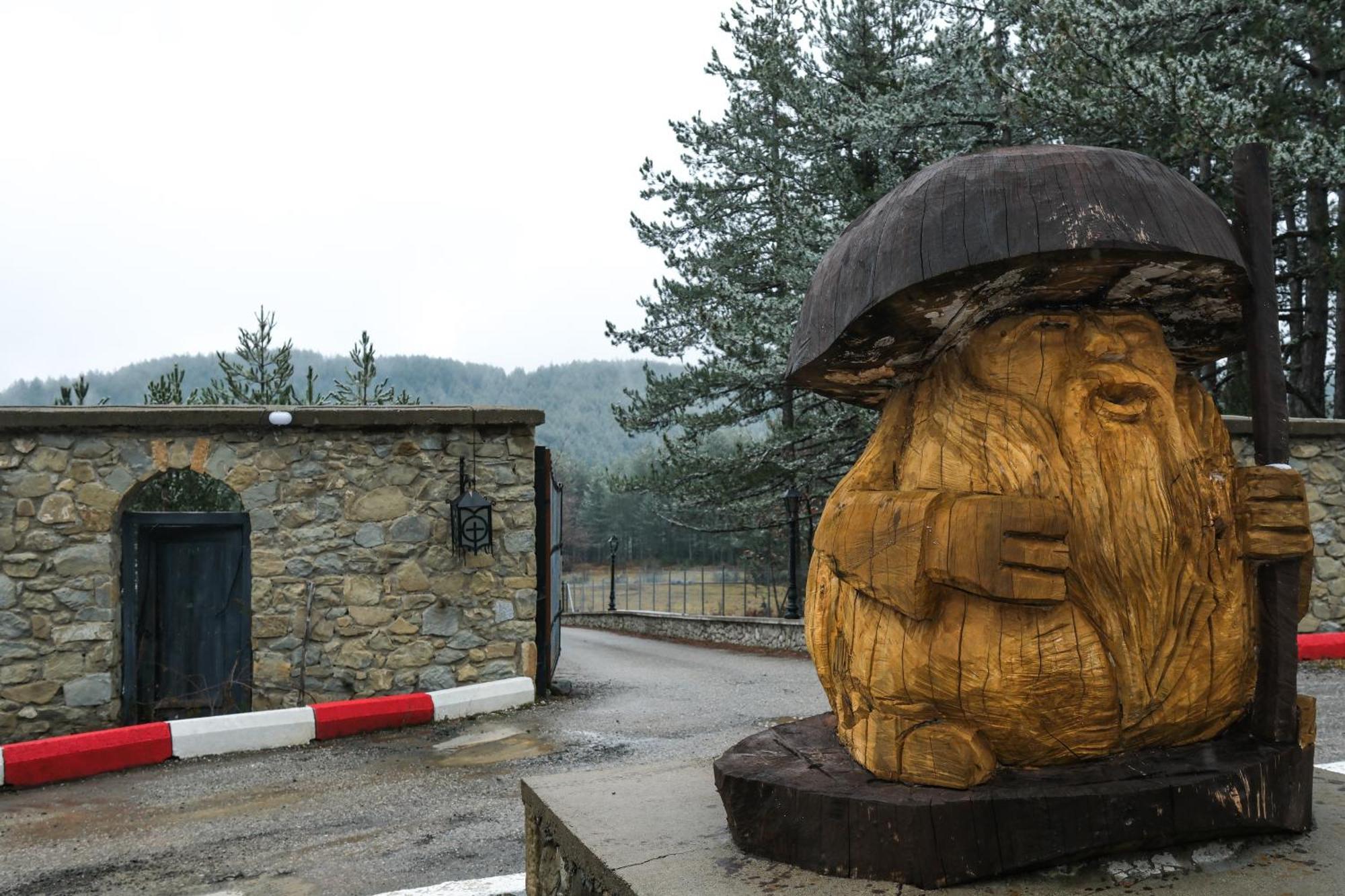 Pindos Resort Krania Bagian luar foto